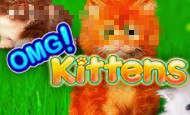 OMG Kittens Casino Games