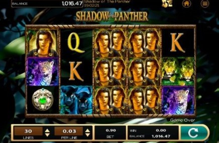 Shadow of the Panther Casino Games