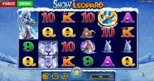Snow Leopard Casino Games