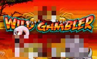 Wild Gambler Casino Games