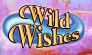 Wild Wishes Casino Games