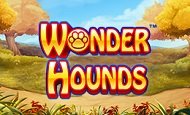 Wonder Hounds Casino Games