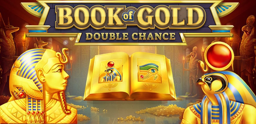 Book of Gold Double Chance Slot Logo Kong Casino