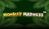 Monkey Madness Casino Games