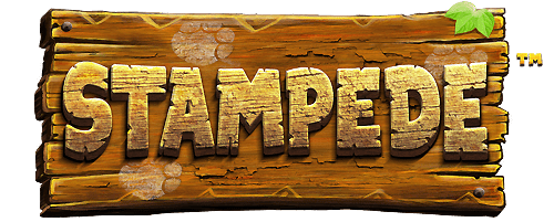 Stampede Slot Logo Kong Casino