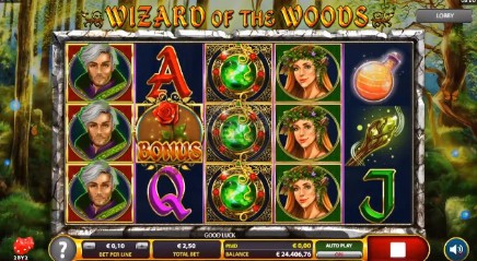 Wizard of the Woods Casino Games